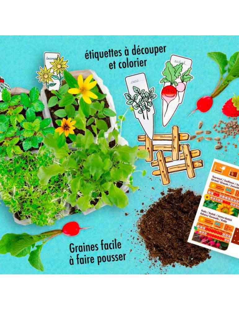 Kit 'Graines à planter' : fraises. Radis Et Capucine
