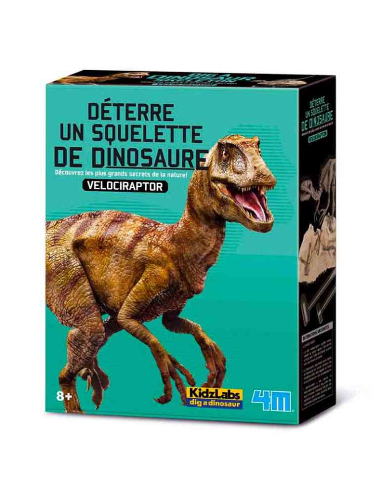 Velociraptor Déterre ton Dinosaure 4M - Jouet Scientifique